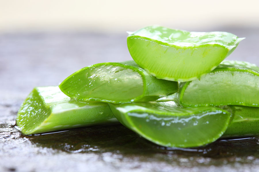 Aloe Vera Hausmittel Haarwuchs anregen